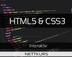 web design kurs visuell